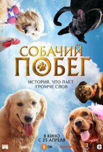 Собачий побег Лучшие Фильмы Про Индию на Лордфильм Смотреть Бесплатно