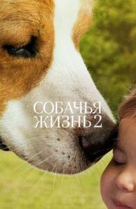 Собачья жизнь 2 Лучшие Фильмы Про Индию на Лордфильм Смотреть Бесплатно